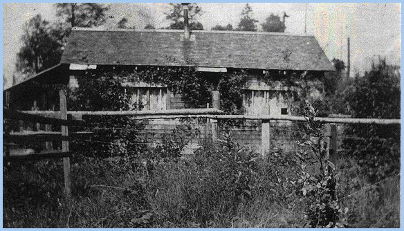 Brown Family home and back yard on Browne Rood