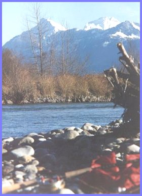 Vedder River - Cheam Mountain View