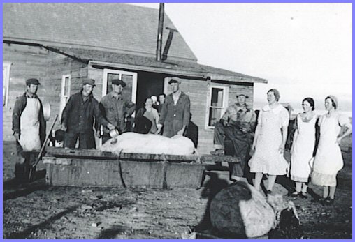 Pig Butchering Time - Blumenhof, Saskatchewan 