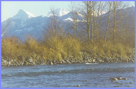Vedder River - Cheam Mountain View