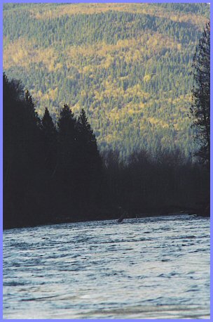 Mountain Shadows